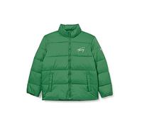 Tommy Jeans Herren TJM Signature Puffer DM0DM15446 Gepolsterte Jacken, Grün, L
