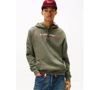 Hoodie TOMMY JEANS "TJM DNA", Herren, Gr. XXL, grün (pewter grün), Sweatware, Obermaterial: 100% Baumwolle, regular fit, Rippbündchen, Sweatshirts, Sweatshirt, Reuglar Fit, mit Logo (10126341-XXL) pew