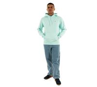 Tommy Jeans Men's TJM Reg S Flag Hoodie Dm0Dm20742 Kapuzenpullover, Green (Spring Mint), XS