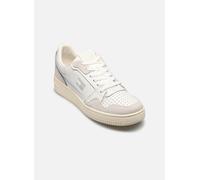 Keilsneaker TOMMY JEANS "TJW RETRO BASKET SNEAKER", Damen, Gr. 41, beige (ecru, hellgrau), Leder, Lederimitat, sportlich, Schuhe, Schnürschuh, Halbschuh, Freizeitschuh mit seitlicher Logoflagge (10119