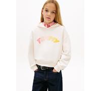 TOMMY PUFF PRINT HOODIE 140