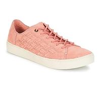 Toms Sneaker LENOX in Rosa 40