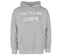 Kapuzenpullover TOP GUN "TG22003" Gr. 48 (S), grau (grey melange) Herren Pullover Hoodie Sweatshirt (29135750-S) grey melange