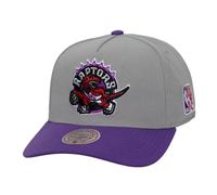 Toronto Raptors Mitchell & Ness Legendary Home Pro Pinch Snapback Hardwood Classic NBA Cap Grau - OS