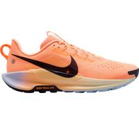 Trail-Schuhe Nike Pegasus Trail 5 198486929684 Größe 41 EU