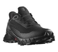 Salomon Damen Alphacross 5 GTX schwarz 42.6