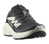 Trailrunningschuh SALOMON "ALPHAGLIDE W", Damen, Gr. 42,5, schwarz (schwarz, phantom, icicle), Synthetik, Textil, Schuhe, wasserdicht (71109947-42,5) schwarz, phantom, icicle