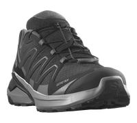 Trailrunningschuh SALOMON "EXAMOTION GORE-TEX", Herren, Gr. 41, atmungsaktiv, schwarz (schwarz, pewter, asphalt), Synthetik, Textil, Schuhe, wasserdicht (65149062-41) schwarz, pewter, asphalt
