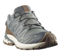 Salomon Xa Pro 3D v9 GTX Lifelong M - Sedona Sage/Coyote Brown/Vanilla Ice - 47 1/3 (UK 12)