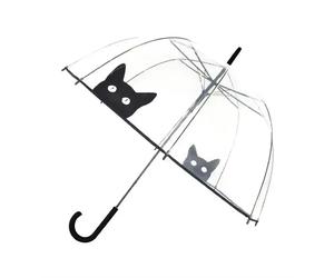Transparenter Regenschirm Katze