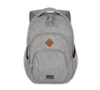 Travelite Handgepäck Rucksack, Laptop Rucksack 15,6 Zoll, BASICS, Daypack, Tagesrucksack mit vielen Fächern, 45 cm, 22 Liter