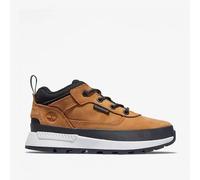 Trekking-Schuhe Timberland Field Trekker fér Herren