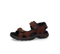 Trekkingsandale CAMEL ACTIVE, Herren, Gr. 46, cafe, Leder, Basic, Schuhe, Klettschuh, Sommerschuh, Outdoorschuh mit Logoschriftzug (90354512-46) cafe