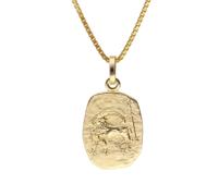 trendor Schmuck Steinbock Sternzeichen Gold 333 mit vergoldeter Silberkette 15382-01