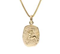 trendor 15382-12 Schütze Sternzeichen Gold 333 mit vergoldeter Silberkette 40 cm