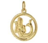 trendor Schmuck 39000-02 Sternzeichen Wassermann 333 Gold Anhänger Ø 16 mm