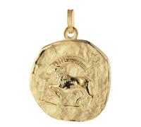 trendor Schmuck Anhänger Steinbock Sternzeichen 925 Silber Vergoldet ? 20 mm 21300-0