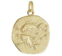 trendor Schmuck Anhänger Sternzeichen Fische 925 Silber Vergoldet Ø 20 mm 21300-03