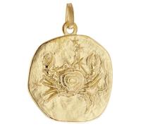 trendor Schmuck Anhänger Sternzeichen Krebs 925 Silber Vergoldet Ø 20 mm 21300-07