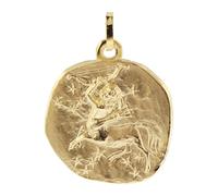 trendor Schmuck Anhänger Schütze Sternzeichen 925 Silber Vergoldet ? 20 mm 21300-12