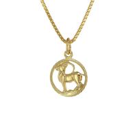 trendor Schmuck 75990-01 Kinder Sternzeichen Steinbock 333 Gold + goldplattierte Kette