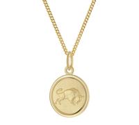 trendor 28468-05 Kinder Sternzeichen Stier Gold 333 mit vergoldeter Kette 45 cm