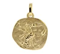 trendor Schmuck 08735 Sternzeichen-Anhänger Skorpion 333 Gold 16 mm