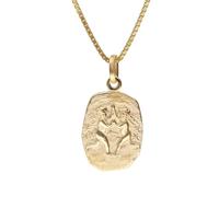trendor 15382-06 Zwilling Sternzeichen Gold 333 mit vergoldeter Silberkette 45 cm