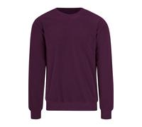 TRIGEMA Classic Fit Sweatshirt Nickyaubergine, Einfarbig