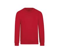 Trigema Damen 574501 Sweatshirt, Grau (Hellgrau, 44 (Herstellergröße: L)