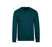 Sweatshirt TRIGEMA "TRIGEMA Sweatshirt", Herren, Gr. XL, blau (saphir), 70% Baumwolle, 30% Polyester, Basic, Sweatshirts (74283903-XL) saphir