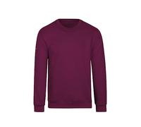Trigema Herren 674501 Sweatshirt, Rot (Sangria 89, Small