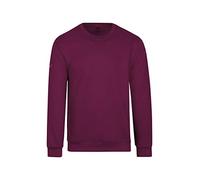 Trigema Herren 674501 Sweatshirt, Rot (Sangria 89, Small