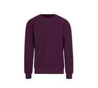 TRIGEMA Herren 654501 Sweatshirt, Aubergine, S