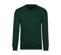 TRIGEMA Regular Fit Sweatshirt Rundhalsgrün, Einfarbig