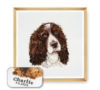 Trimits Kreuzstich-Set Hund - personalisierte Stickerei für Erwachsene und Anfänger, Wanddekoration, Tierliebhaber, Hundebesitzer,36x36cm,Rahmen nicht im Lieferumfang enthalten, Springer Spaniel