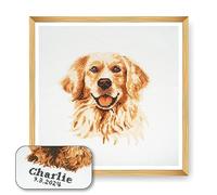 Trimits Kreuzstich-Set Hund - personalisierte Stickerei für Erwachsene und Anfänger, Wanddekoration, Tierliebhaber, Hundebesitzer,36x36cm,Rahmen nicht im Lieferumfang enthalten, Golden Retiever