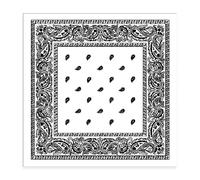 Trimming Shop Unisex Paisley Bandana aus Baumwolle, leicht, atmungsaktiv und langlebig, für Taschentücher, Stirnband, Reiten, Outdoor, Armband, Party, 54 cm