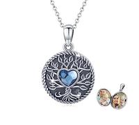 TRISHULA Baum Des Lebens Medaillon Kette für Foto Bilder S925 Sterling Silber Stammbaum Anhänger Blau Herz Kristall Baum Halskette Schmuck für Frauen Mädchen