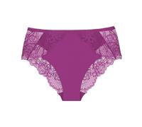 Triumph Wild Peony Florale Maxi, Briefs Damen, Violett (Purple), 40