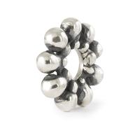 Trollbeads Frühlings Kollektion Blühende Verbindungen 2024 Silberbeads (Leuchtende Verbindungen TAGBE-10278)