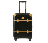 Trolley 55cm BBG28301-grün