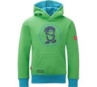 TROLLKIDS Kids Troll Sweater (138) 104 Grün