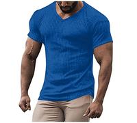 Tshirt Herren V Ausschnitt Herren Hemd Langarm Regular Fit Leinenhemd Herren V-Ausschnitt Einfarbiges Gerippt Sport Tshirts Slim Fit Trägershirt Regular Fit Workout T Shirt Langarmshirt Herren Blau, L