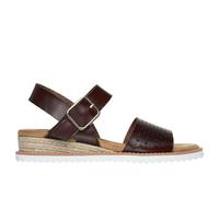 Turnschuhe Frau Skechers Bobs Desert Kiss Sunny Flair BraunBraun / 40