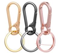 Tyqour 3 Stück Karabiner Schlüsselanhänger Metall Karabinerhaken Klein Schlüsselring Karabiner Schlüsselringe mit Schnellverschluss Clips Schlüsselkarabiner für Schlüssel, Rucksäcke und Charms