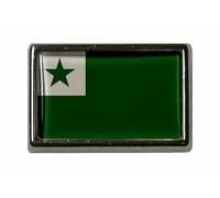 U24 Pin Esperanto Flaggenpin Anstecker Anstecknadel Fahne Flagge