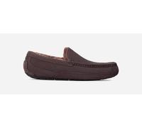 UGG® Ascot Hausschuhe für Herren in Dusted Cocoa, Größe 43, Wildleder 1101110-DDC-10