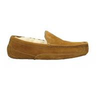 Ugg Ascot, Herren Hausschuh