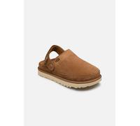 UGG W GOLDENSTAR CLOG EU:40 Braun